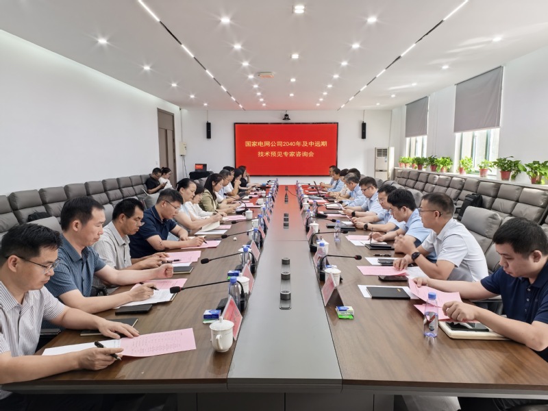 国家电网公司2040年及中远期技术预见专家咨询会在我校顺利召开